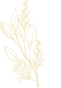 Destination Weddings icon